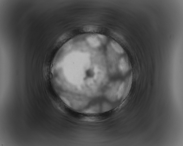 X0000084530171200703231700