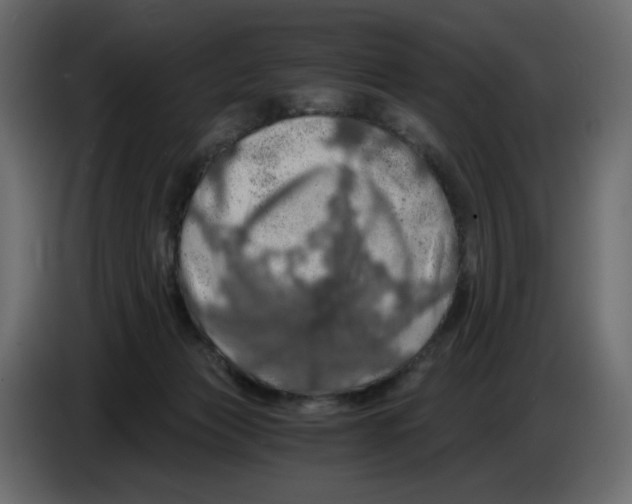 X0000084530173200703231700