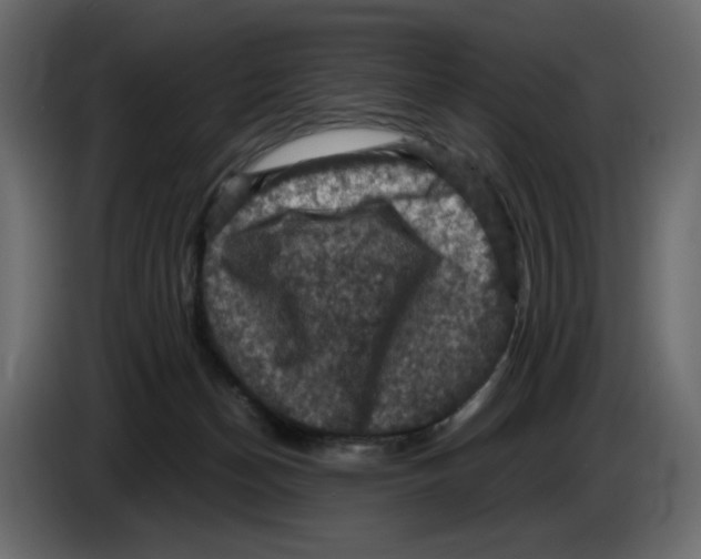 X0000084530174200703231700