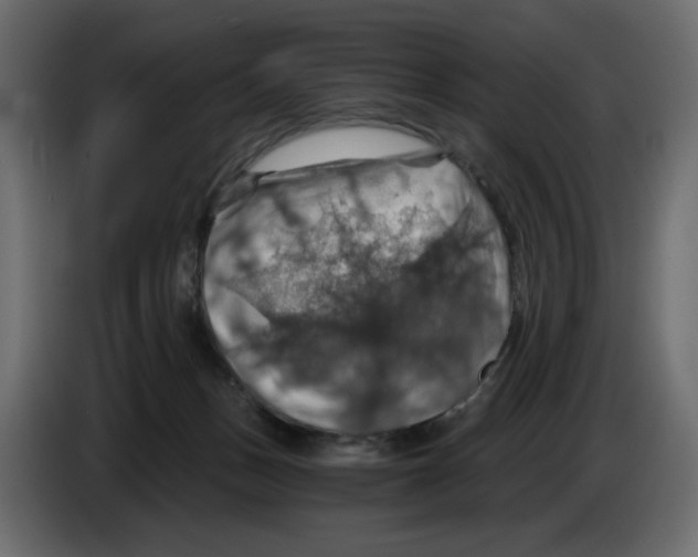 X0000084530175200703231700