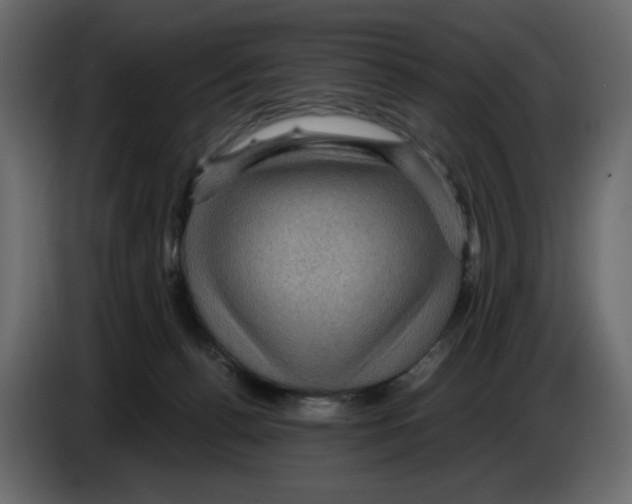 X0000084530176200703231700
