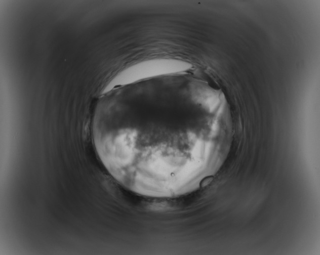 X0000084530177200703231700
