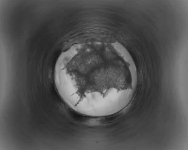 X0000084530178200703231700