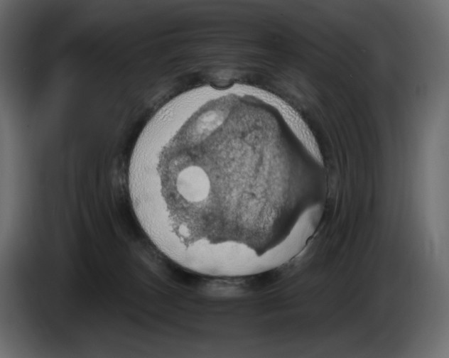 X0000084530179200703231700
