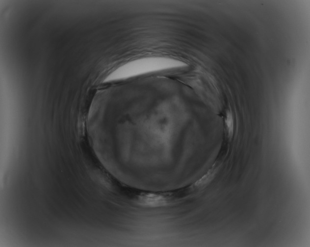 X0000084530180200703231700