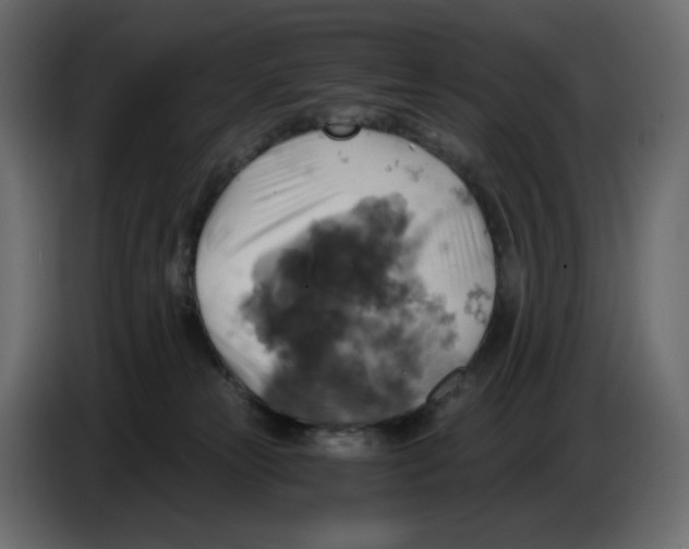X0000084530181200703231700