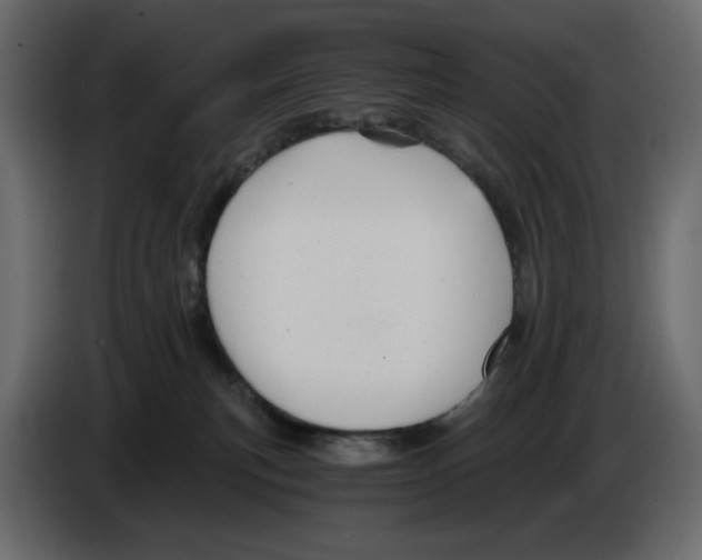 X0000084530183200703231700