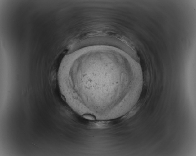 X0000084530184200703231700