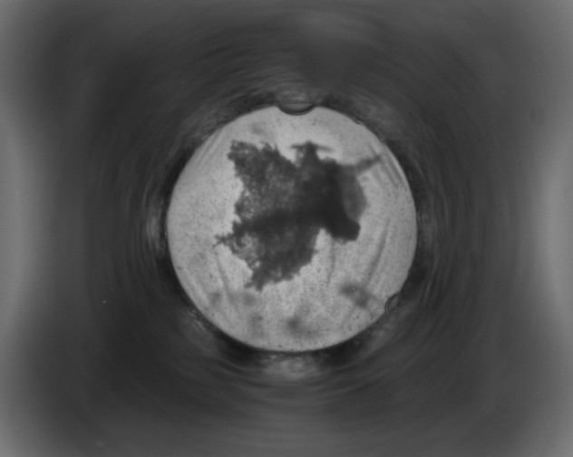 X0000084530185200703231700