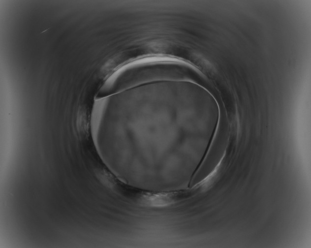 X0000084530186200703231700