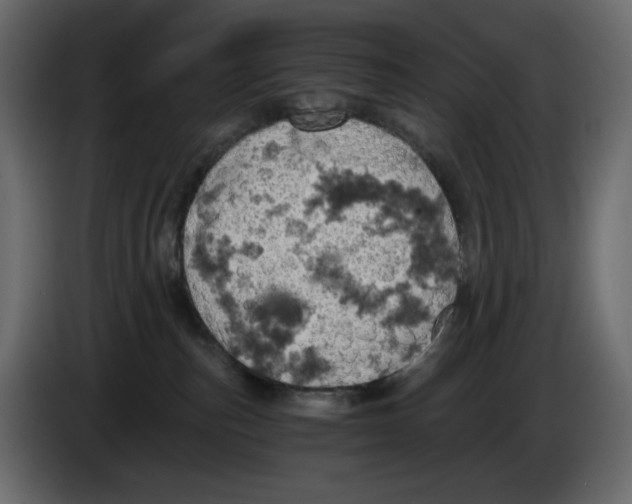 X0000084530187200703231700