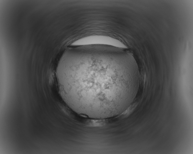 X0000084530188200703231700