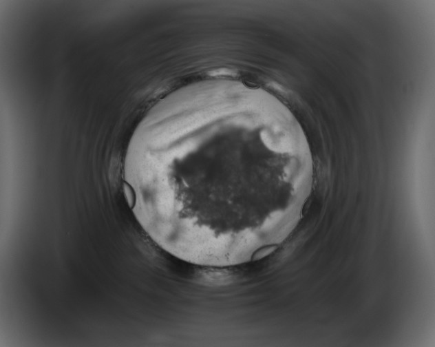 X0000084530189200703231700