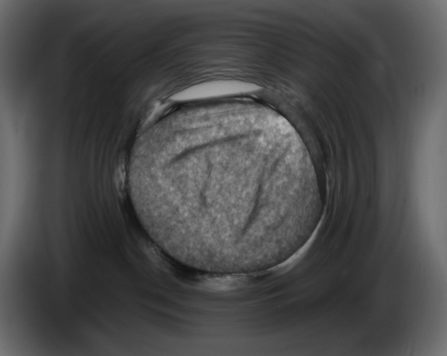 X0000084530190200703231700