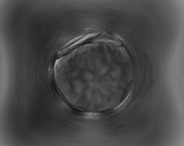 X0000084530192200703231700