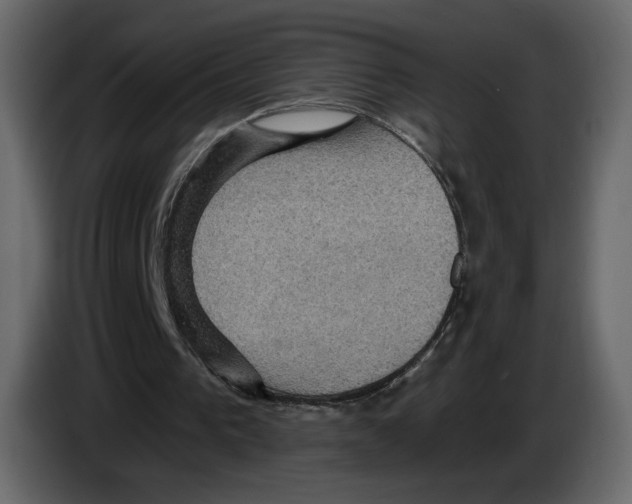 X0000084530193200703231700