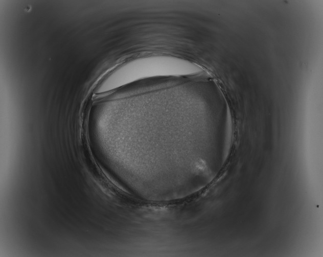 X0000084530194200703231700