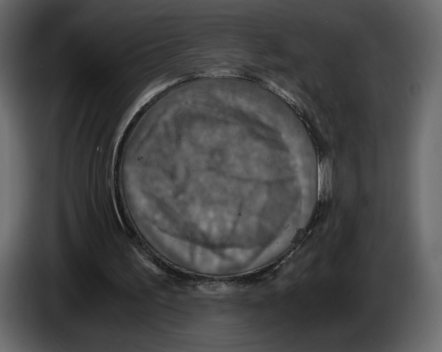 X0000084530195200703231700