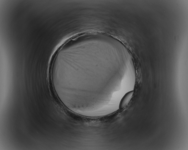 X0000084530196200703231700