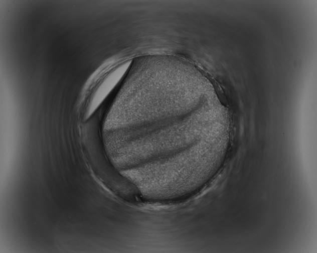 X0000084530197200703231700