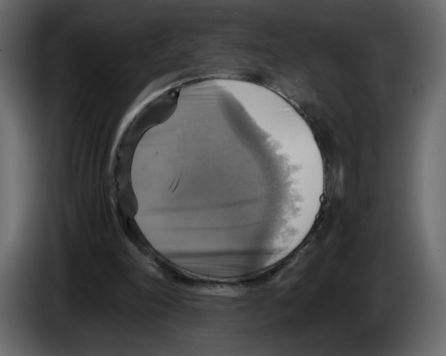 X0000084530198200703231700