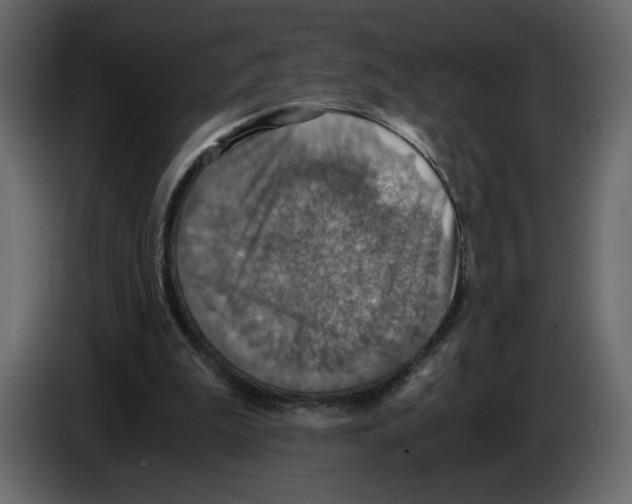 X0000084530199200703231700