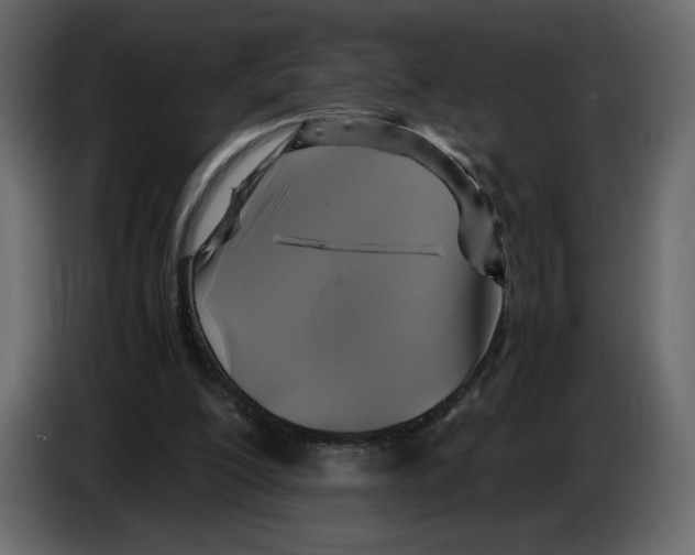X0000084530200200703231700