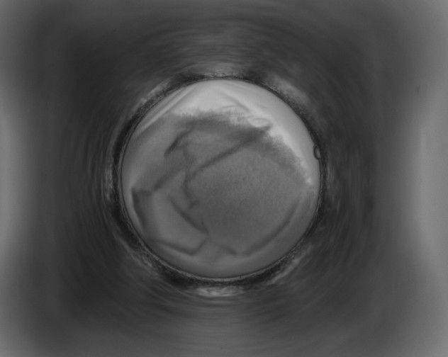X0000084530202200703231700