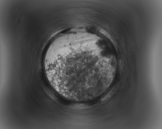 X0000084530203200703231700