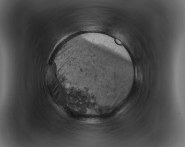 X0000084530204200703231700