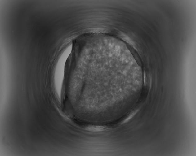 X0000084530205200703231700