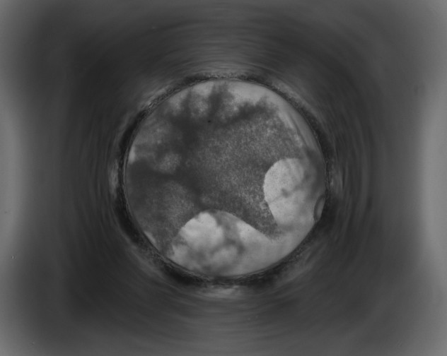 X0000084530206200703231700