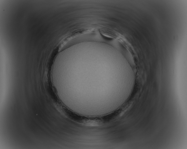 X0000084530209200703231659