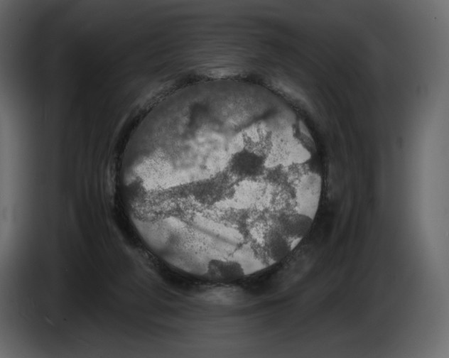 X0000084530210200703231659