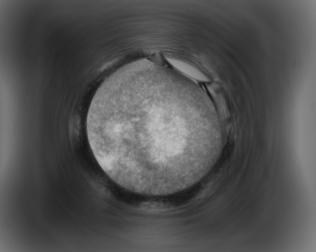 X0000084530211200703231659