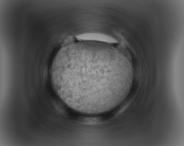 X0000084530213200703231659