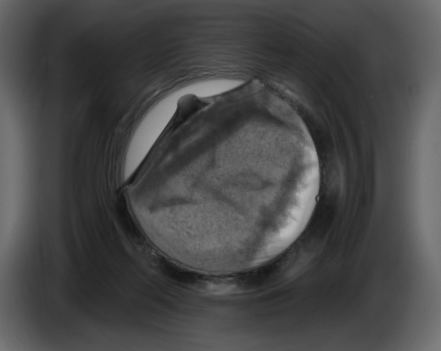 X0000084530214200703231659