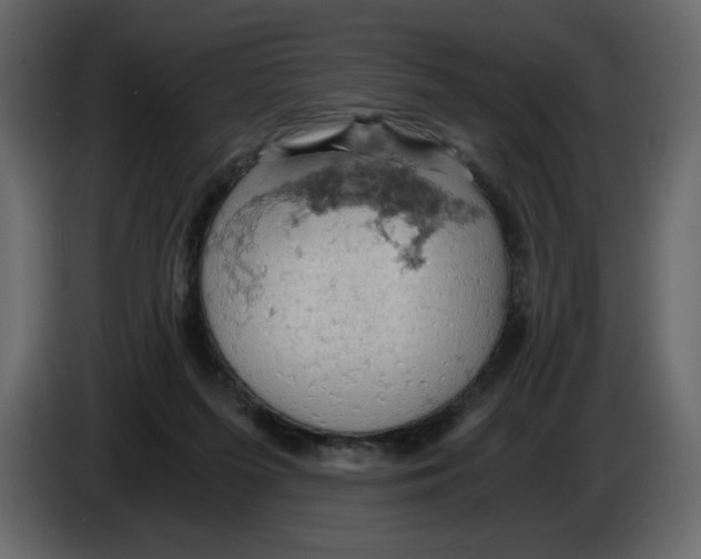 X0000084530215200703231659