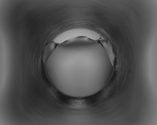 X0000084530217200703231659