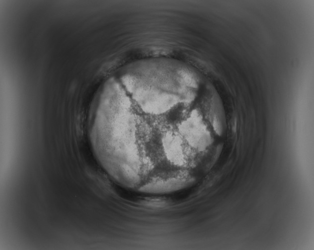 X0000084530218200703231659