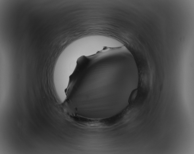 X0000084530219200703231659