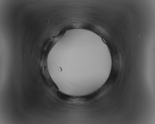 X0000084530221200703231659