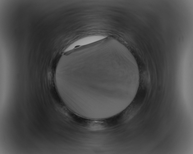 X0000084530222200703231659