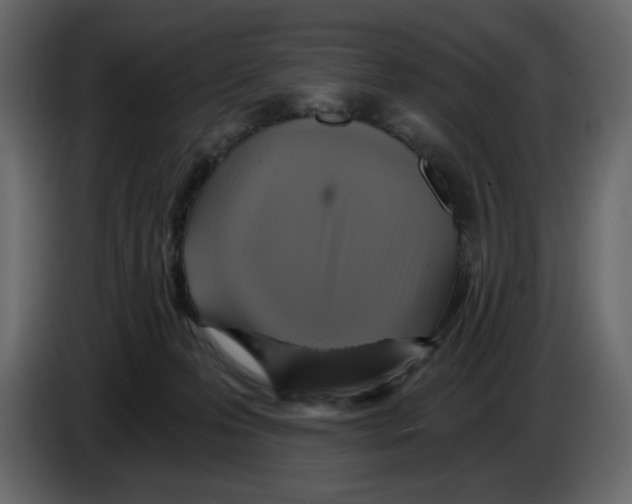 X0000084530223200703231659