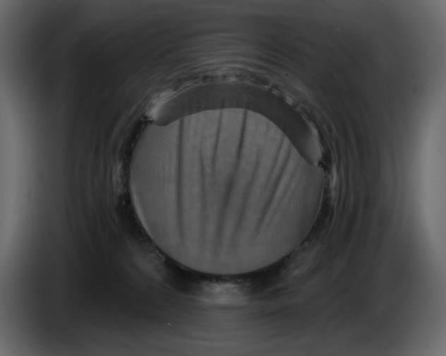X0000084530224200703231659