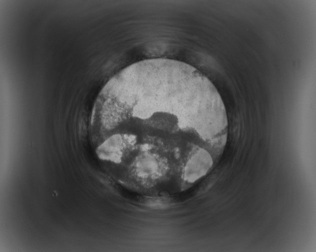 X0000084530226200703231659