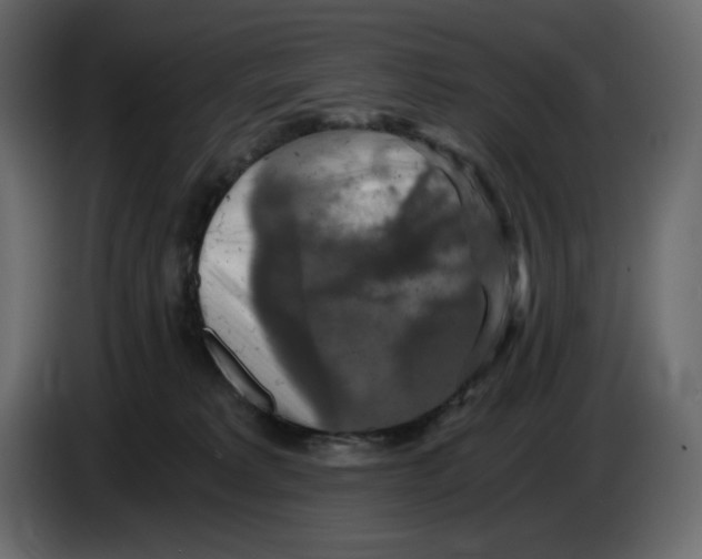 X0000084530229200703231659