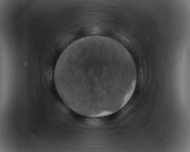 X0000084530230200703231659