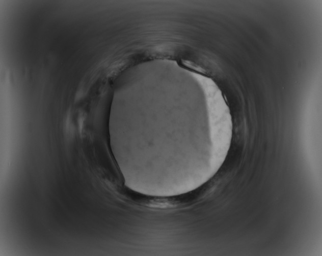 X0000084530231200703231659