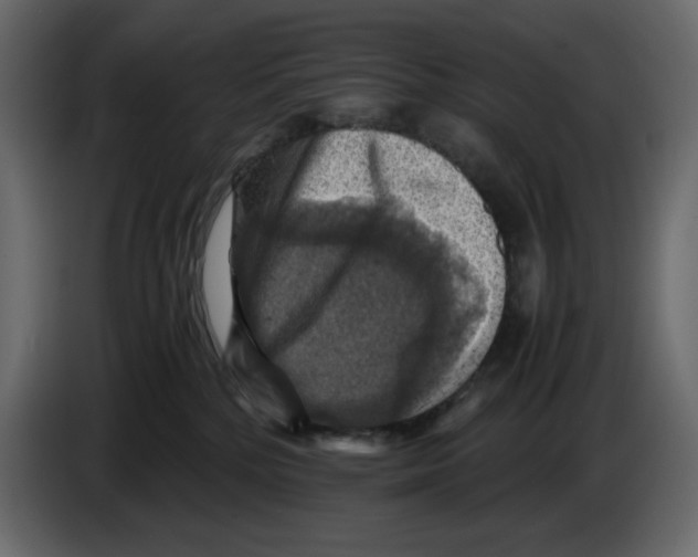 X0000084530232200703231659